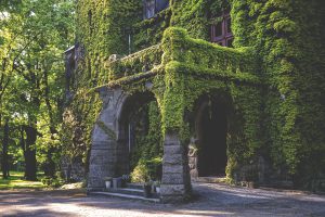 Read more about the article Sobótka (wielkopolska)